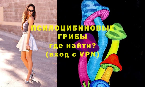 apvp Алзамай
