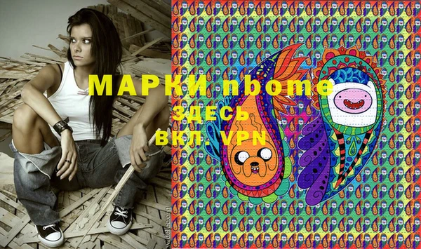 apvp Алзамай