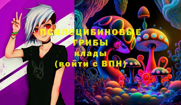 apvp Алзамай