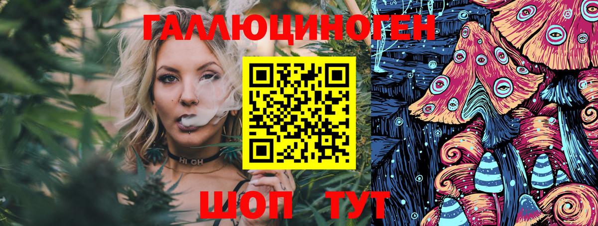 Нижнеудинск  купить  сайты  Вход с VPN  Галлюциногенные грибы MAGIC MUSHROOMS 