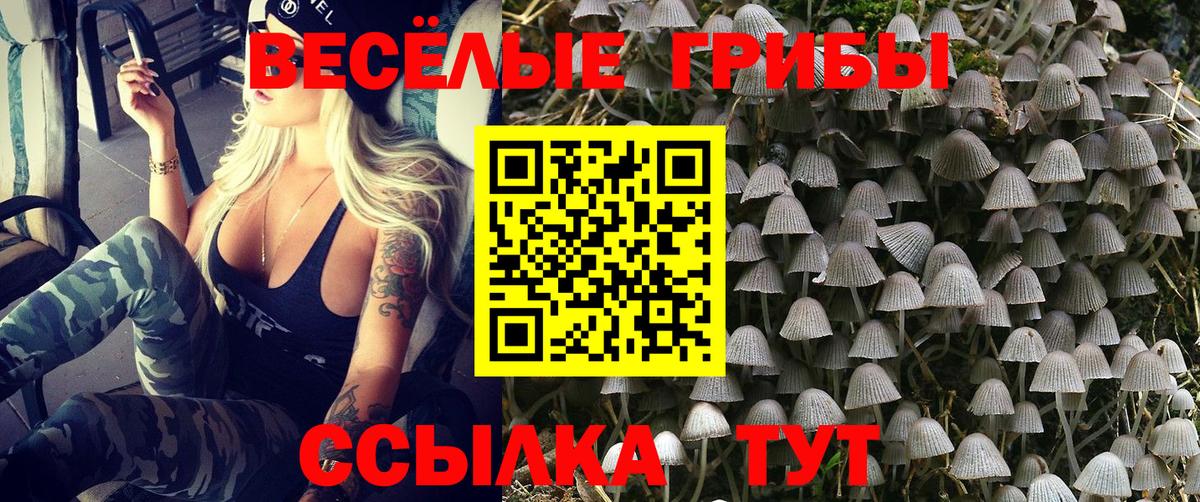 Галлюциногенные грибы MAGIC MUSHROOMS Нижнеудинск