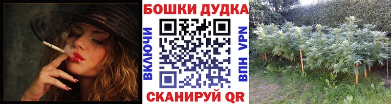Бошки Шишки планчик OMG как войти Нижнеудинск наркотики